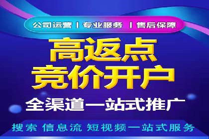 SEM推广策略：成功案例解析
